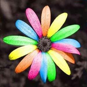 Meet your Posher, Colleen